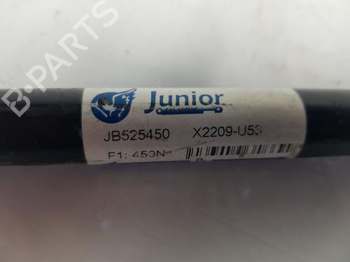 Tailgate lift support AUDI A3 Sportback (8PA) 2.0 TDI 16V | BP14104998C138 