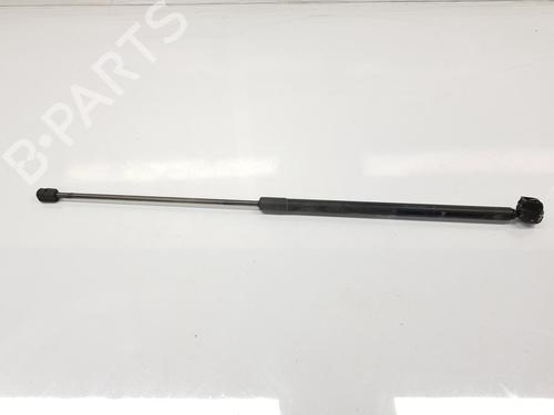 Hood lift support RENAULT MEGANE III Hatchback (BZ0/1_, B3_) 1.6 16V (BZ0H) | BP16541416C139 