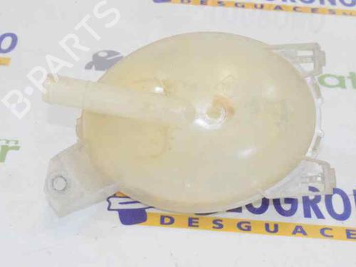 Expansion tank DACIA DOKKER MPV (KE_) 1.5 dCi / Blue dCi 75 (KEAJ, KEAH, KEJW) | BP1634541C120 