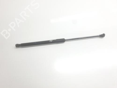 tailgate-lift-support-dacia-sandero-iii-2021-34004124 main image