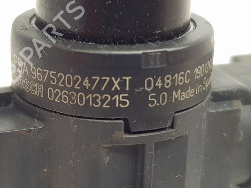 Electronic module PEUGEOT 208 I (CA_, CC_) 1.6 HDi | BP29333180M83