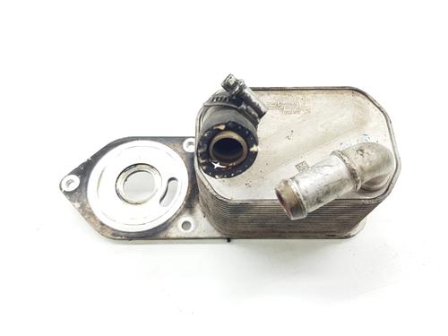 Used Oil radiator FORD TRANSIT V363 Van (FCD, FDD) 2.0 EcoBlue (130 hp) 31958053