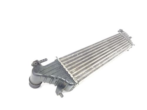 Intercooler FIAT TIPO Hatchback (356_, 357_) 1.6 D (356HXG1B, 356HXG11) | BP31909336M30 