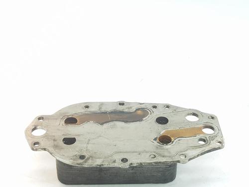 Oliekøler LAND ROVER DISCOVERY III (L319) 2.7 TD 4x4 | BP16580028M33 