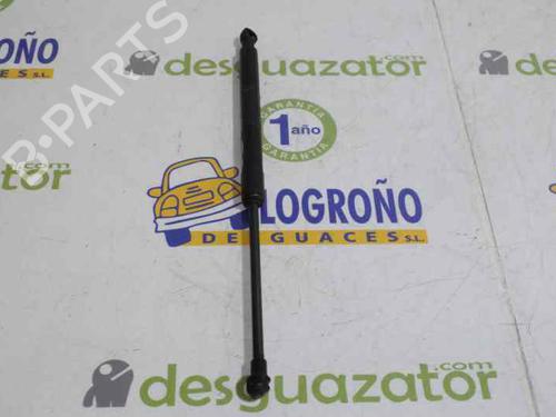 Hood lift support BMW 1 (E87) 120 d | BP14121136C139 