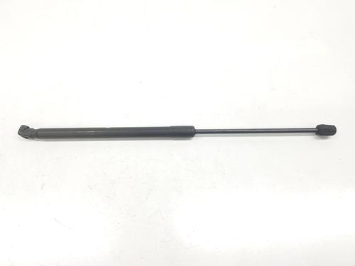 Hood lift support AUDI Q7 (4LB) 4.2 TDI quattro | BP14104775C139 