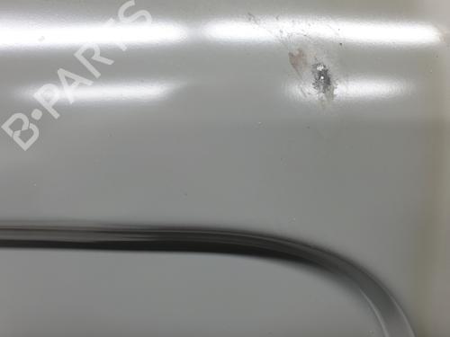 Right rear door RENAULT TRAFIC III Van (FG_)  | BP21004067C5