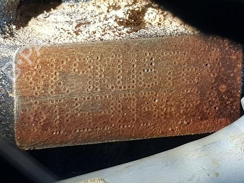 Engine RENAULT KANGOO III Box Body/MPV  | BP32712753M1  - Image 6