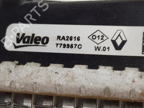 Water radiator DACIA SANDERO III | BP37664499M31 - Image 5