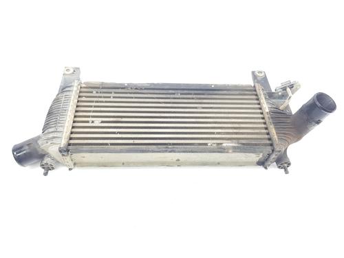 Used Intercooler NISSAN NAVARA NP300 (D40) 2.5 dCi 4WD (174 hp) 16705146