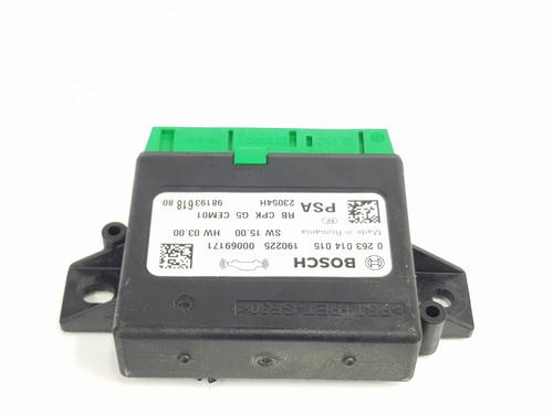 Electronic module PEUGEOT 208 I (CA_, CC_) 1.6 HDi | BP29333173M83 