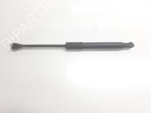 hood-lift-support-renault-rafale-coupe-dgm_-2023-34008888 main image