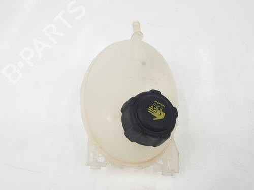 Used Expansion tank DACIA SANDERO II TCe 90 (B8M1, B8MA, B8AC) (90 hp) 10503467