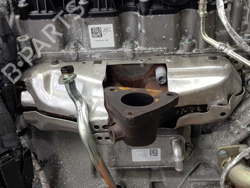 Engine LAND ROVER RANGE ROVER VELAR (L560)  | BP29755400M1 