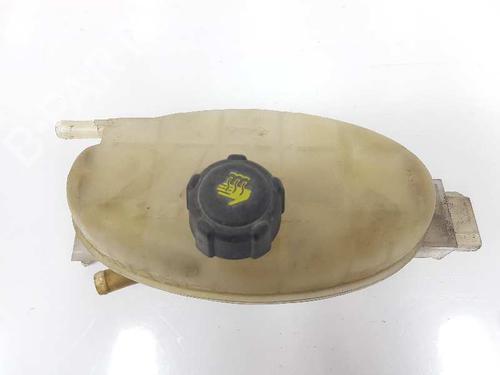 Used Expansion tank NISSAN PRIMASTAR Van (X83) 2.0 dCi 115 (114 hp) 7170129