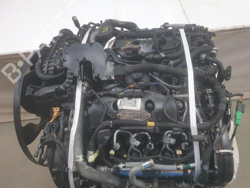Used Engine Engine ROVER 25 I Hatchback (RF) [1999-2006] 36566491 36566491