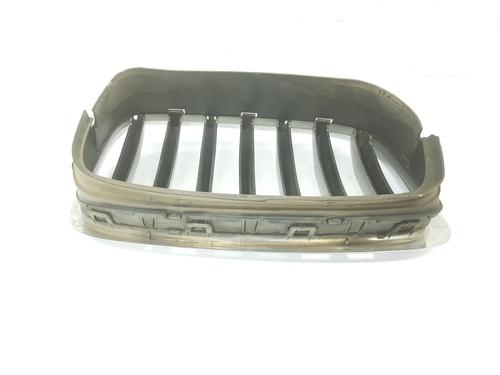 Grille BMW X6 (E71, E72) xDrive 40 d | BP13925089C40