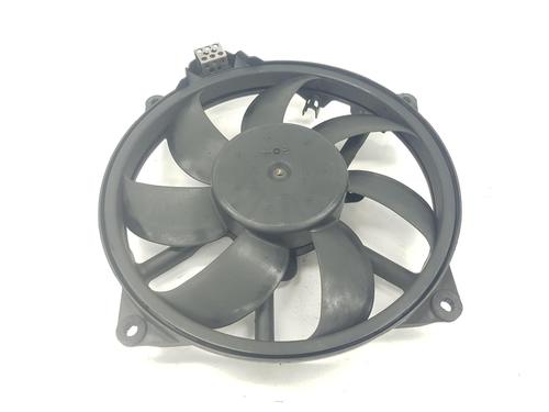 Radiator fan RENAULT MEGANE III Coupe (DZ0/1_) 1.9 dCi (DZ0N, DZ0J, DZ1J, DZ1K) (131 hp) 9674629