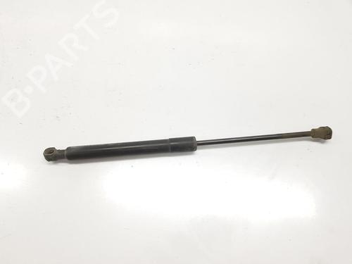 Used Hood lift support MERCEDES-BENZ CITAN Box Body/MPV (W415) 109 CDI (415.601, 415.603, 415.605) (90 hp) 14111048