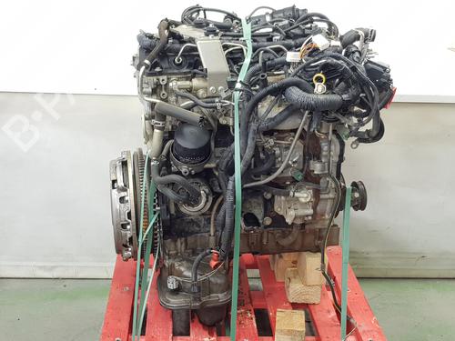 Engine NISSAN NAVARA NP300 (D40) 2.5 dCi 4WD (D40TT, D40T, D40M, D40BB) | BP36798534M1 - Image 11