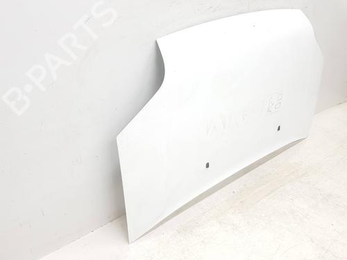 Hood FORD TRANSIT CONNECT (P65_, P70_, P80_) 1.8 TDCi | BP29575400C1 