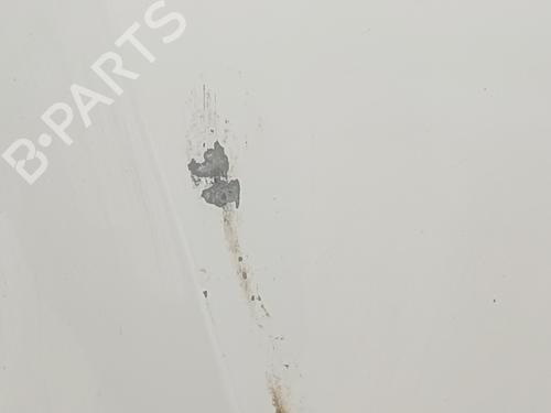 Hood RENAULT TRAFIC III Van (FG_) 1.6 dCi 140 (FGMA, FGMC) | BP29943405C1