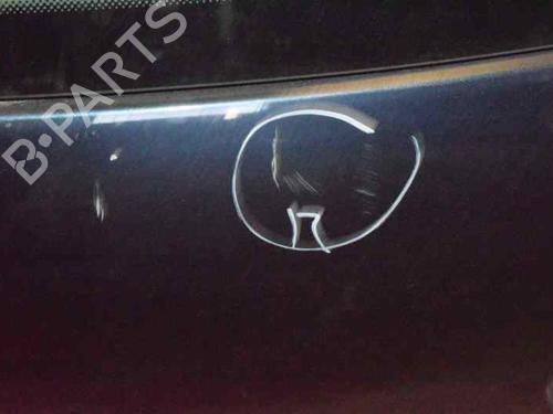 Tailgate VW GOLF V (1K1) 1.9 TDI | BP779162C6 