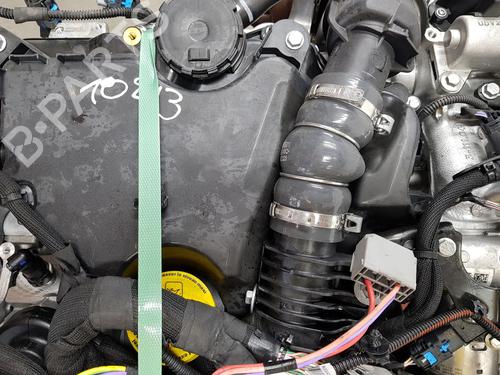 Engine RENAULT KANGOO III MPV | BP37605309M1 - Image 5