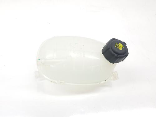 expansion-tank-renault-arkana-i-lcm_-ldn_-2019-33401957 main image