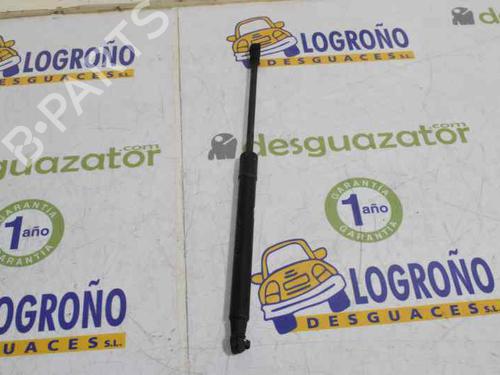 Hood lift support BMW 1 (E87) 118 d | BP14121263C139 