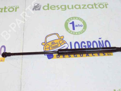 Hood lift support BMW 1 (E87) 118 d | BP14121816C139 
