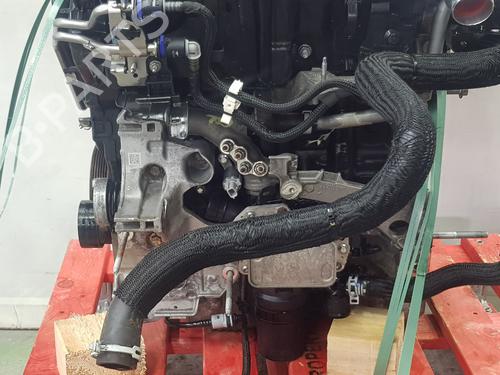 Engine RENAULT KANGOO III MPV  | BP33652983M1  - Image 14