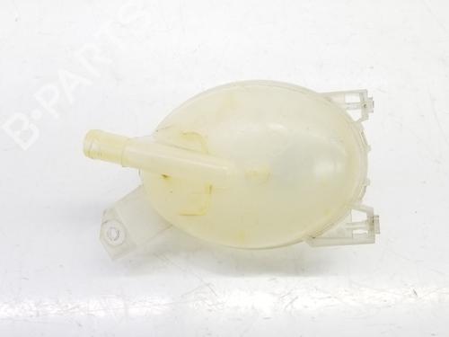 Expansion tank DACIA DOKKER MPV (KE_) 1.5 dCi (KEAJ, KEAH) | BP8516221C120 