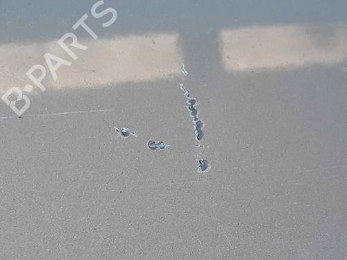 Tailgate SAAB 9-5 (YS3E) 2.2 TiD | BP5616377C6 
