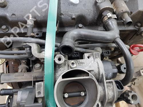 Engine FIAT PANDA (169_) 1.2 (169.AXB11, 169.AXB1A) | BP38037938M1 - Image 8