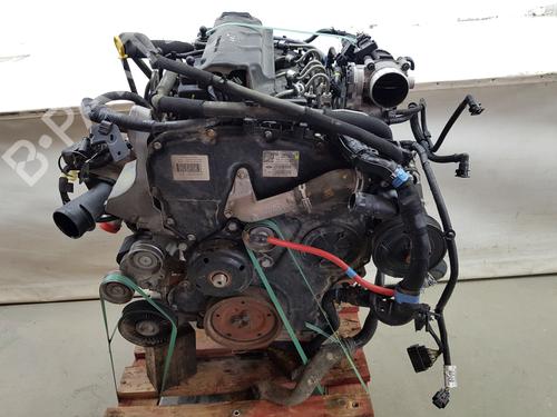 Engine FORD RANGER (TKE) 2.2 TDCi 4x4 | BP35737237M1  - Image 7