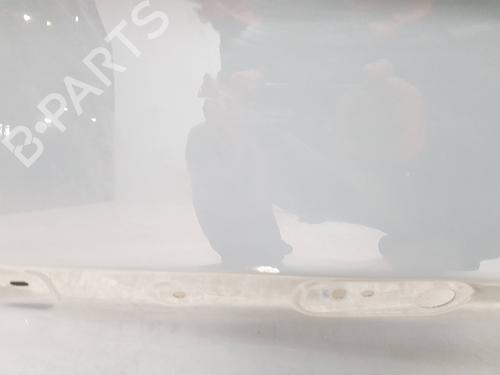 Left rear door RENAULT TRAFIC III Van (FG_) 1.6 dCi 140 (FGMA, FGMC) | BP29632053C4 