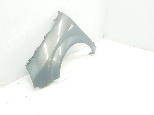 Left front fenders RENAULT GRAND SCÉNIC II (JM0/1_) 1.5 dCi (JM02, JM13) | BP15074870C41 