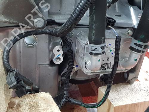 Engine DACIA JOGGER (RK_)  | BP38181664M1  - Image 11