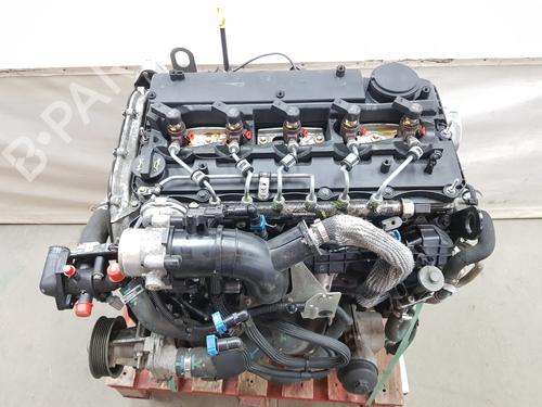 Used Engine Engine FORD RANGER (TKE) 3.2 TDCi 4x4 (200 hp) 36185908 36185908