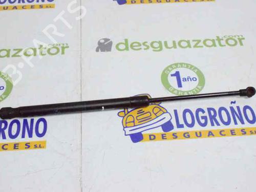 Tailgate lift support BMW 1 (E87) 118 d | BP14121387C138