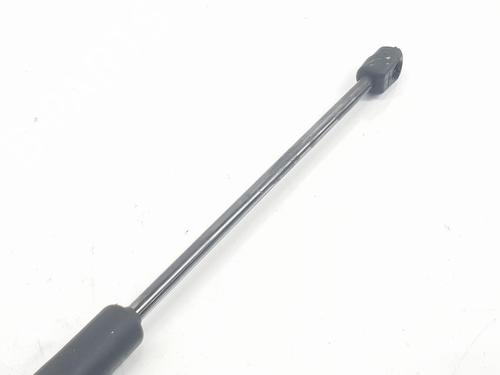 Hood lift support AUDI Q7 (4LB) 4.2 TDI quattro | BP16657298C139 
