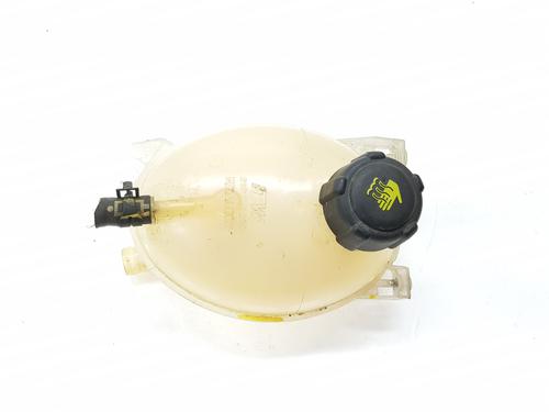 Used Expansion tank DACIA DOKKER MPV (KE_) 1.5 dCi (KEAJ, KEAH) (90 hp) 20197833