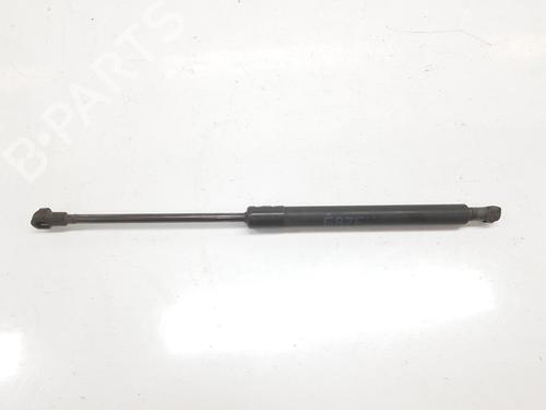 Hood lift support BMW 1 (E87) 118 d | BP14526153C139 