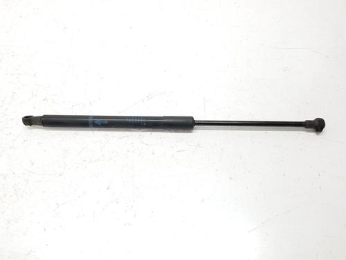 Tailgate lift support TOYOTA YARIS (_P13_) 1.4 D (NLP130_, NLP130) | BP15259854C138 