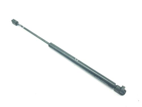Hood lift support TOYOTA LAND CRUISER PRADO (_J12_) 3.0 D-4D (KDJ120, KDJ125) | BP16339710C139 