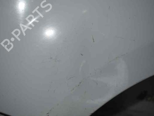 Left front fenders RENAULT KANGOO (KC0/1_)  | BP1543481C41