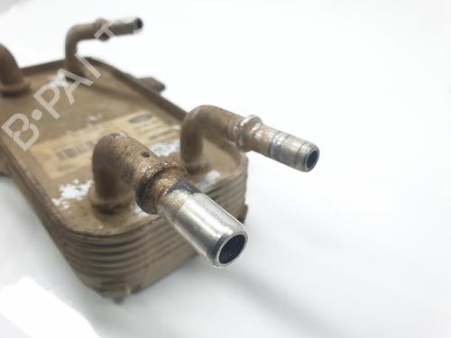 Oil radiator LAND ROVER RANGE ROVER SPORT I (L320) 3.6 D 4x4 | BP16959689M33 
