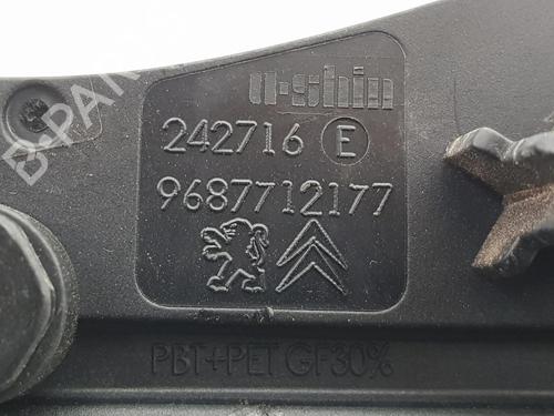 Rear left exterior door handle CITROËN DS4 (NX_)  | BP9540875C130 