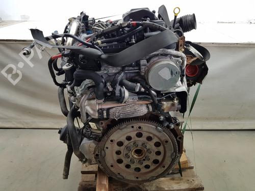 Engine FORD RANGER (TKE) 3.2 TDCi 4x4 | BP36142701M1 - Image 8